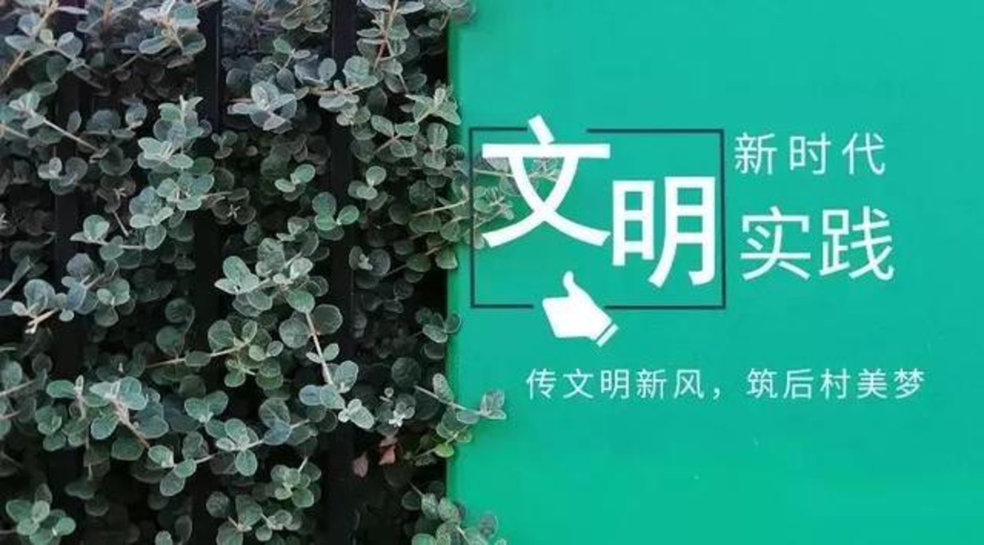 培源衡电商