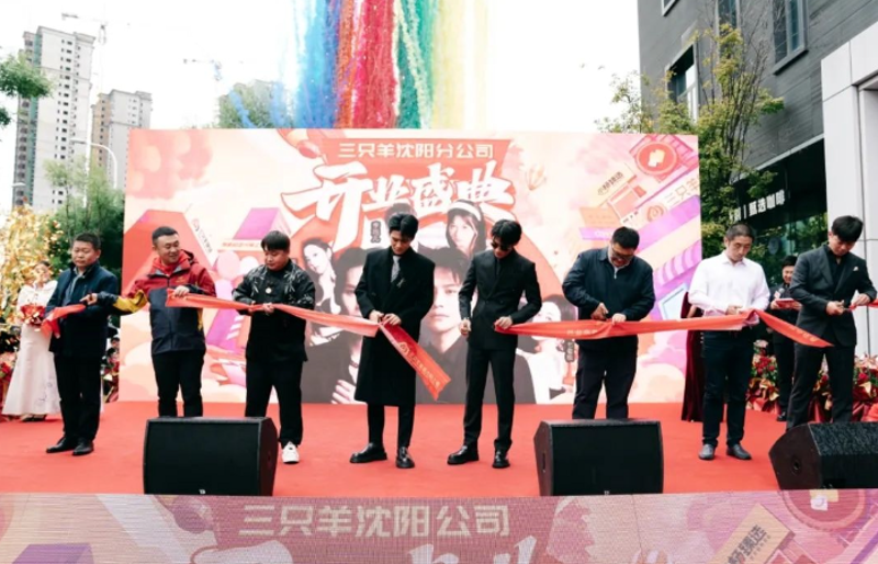 网络营销：构建品牌新高度